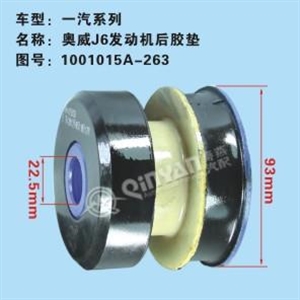 QN20003240