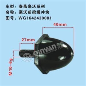 WG1642430081
