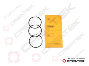 CK8198H