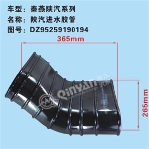 DZ95259190194