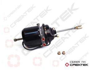 CK8909 