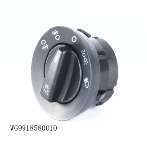 WG9918580010