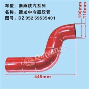 DZ95259535401