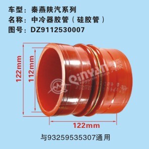 Патрубок DZ9112530007 SHAANXI Qinyan