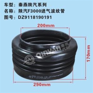 DZ9118190191