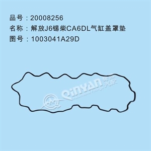 20008256