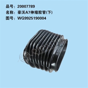 WG9925190004