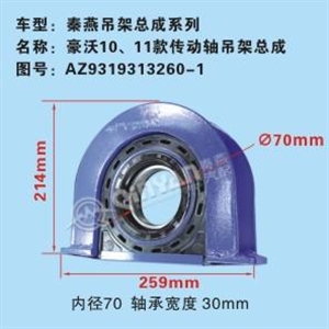 AZ9319313260