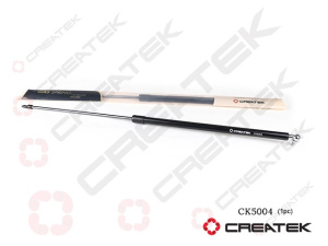CK5004