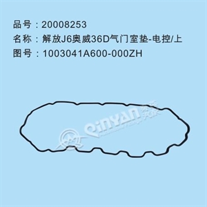 20008253