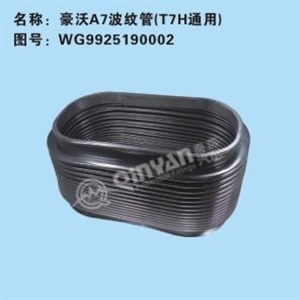 WG9925190002