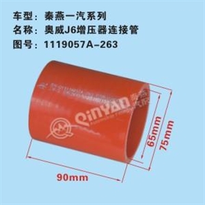 QN20006539