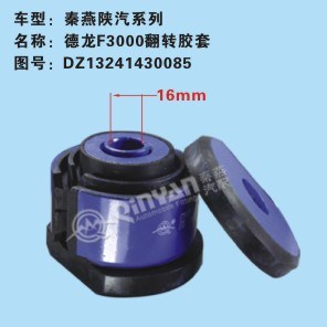 DZ13241430085