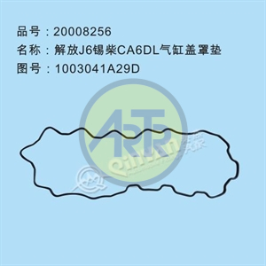 20008256