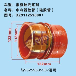 Патрубок DZ9112530007 SHAANXI Qinyan