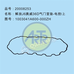 20008253