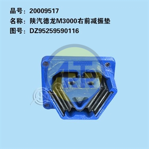 20009517