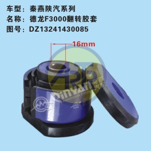 DZ13241430085