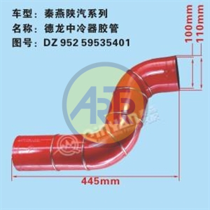 DZ95259535401