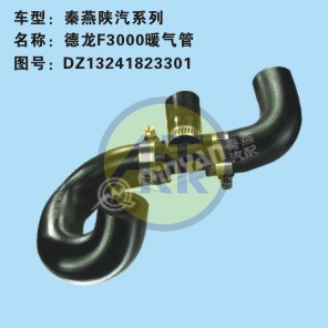 DZ13241823301