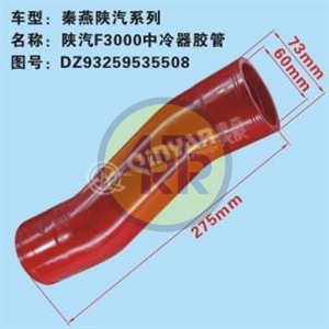 DZ95259535508