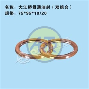 QN20005156